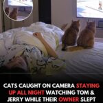 End-of-life nurse shares the most chilling behaviors seen in those nearing d:eath