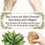 The Potent Power of Coffee Grounds in Your Garden